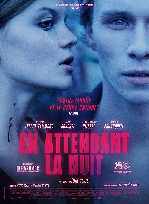 Affiche du film "En attendant la nuit"